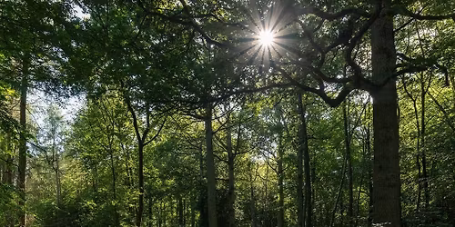 Sing the Trees | Echo Vocal Ensemble | Choral Walk & Concert