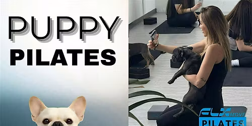 Puppy Pilates