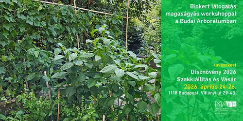 Biokert l\u00e1togat\u00e1s magas\u00e1gy\u00e1s workshoppal a tavaszkerten