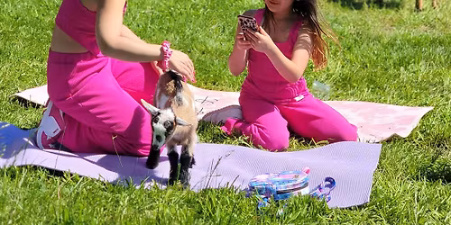 Mommy & Me Goat Yoga