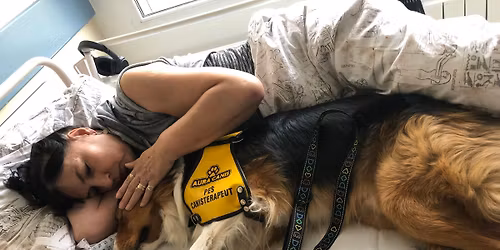 Canisterapie - v\u00fdcvik psa k praxi