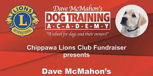 Dog Obedience Course