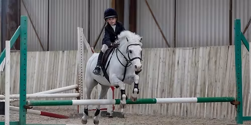 November Mini Showjumping 40-80cm