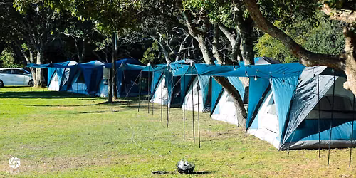 Camp with Milz
