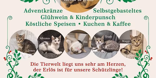 Weihnachtsmarkt der Tierhilfe Dreil\u00e4ndereck
