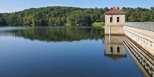 Third Thursday's Bird Walk