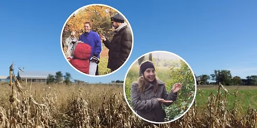 Fall Foraging for Wild Edibles