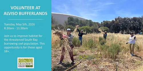 Volunteer Outdoors in Alviso at the Burrowing Owl Project (18+)