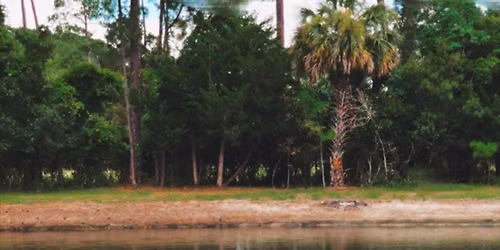 8\/8 Stand Up Paddleboard Yoga at Jaybird Hammock Farm