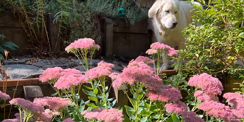 Conversations Meeting