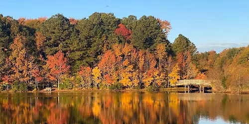 Fishing, Games, and Fun!