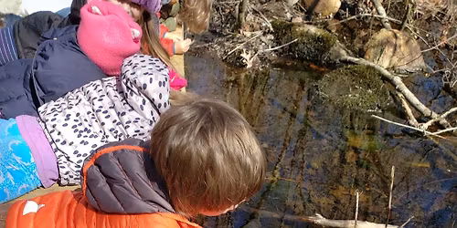 Discovery - Free Inclusive Nature Class