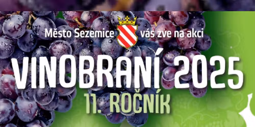 Vinobran\u00ed 2025 11.ro\u010dn\u00edk