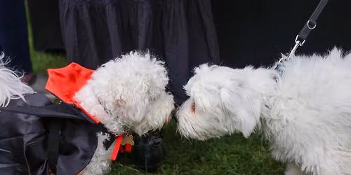 The Christmas Barket @ Canvas