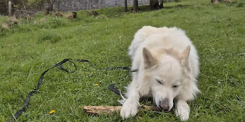 Kompas - wyznacz sw\u00f3j kierunek !