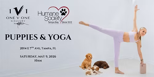 Puppies & Yoga