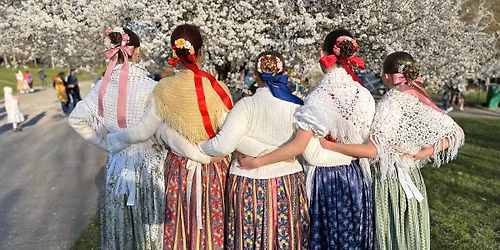 Smrtn\u00e1 ned\u011ble s Lu\u010dinkou