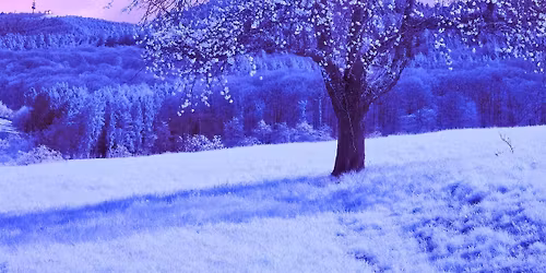 Wild Souls Authentic Movement Winter Solstice Class