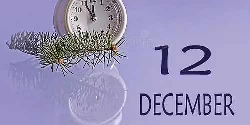 The 27th Annual 12 Days of Christmas