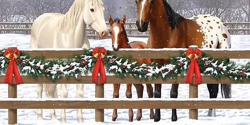 Christmas fun show & Clear round