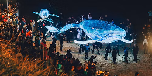 Curious Legends at Daly Bay Illuminate | Mackay Festival of Arts