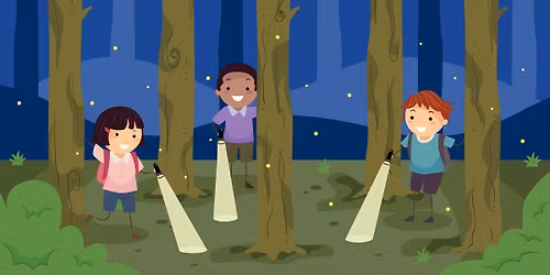 Family Twilight Trek - Cicada Night