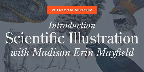 Introduction to Scientific Illustration with Madison Erin Mayfield