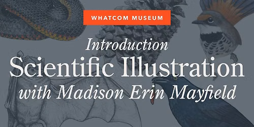 Introduction to Scientific Illustration with Madison Erin Mayfield