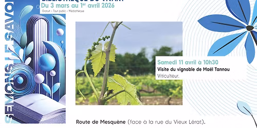 Visite du vignoble de Ma\u00ebl Tannou