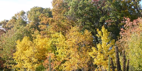 NPS Community Conversation: Cemetery Guidelines