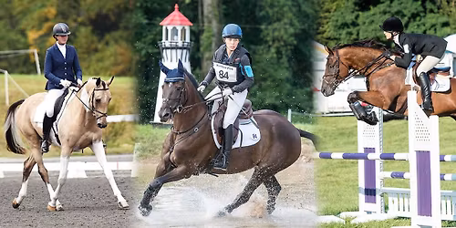 Arena Full ODE: Dressage, Showjumping, Combined Training for ALL Levels (all on sand)