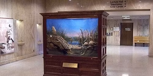 2026 Diorama-Rama \u201cNDM\/MPM: Dioramas Revisited, Reinvented, Reimagined\u201d.