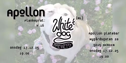 Apollon plankeprat v.16 \/\/ White Dog (NL)