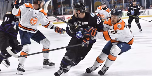 Greenville Swamp Rabbits at Orlando Solar Bears