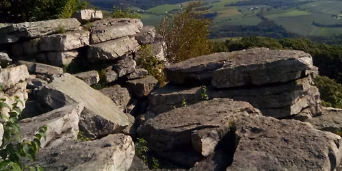 Eckville Shelter History Hike