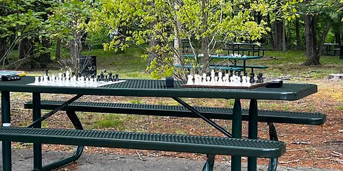 Fridays are for CHESS