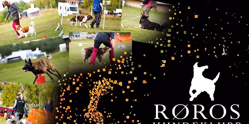 Rallystevne p\u00e5 R\u00f8ros