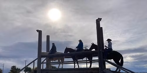 4D Mountain Trail Challenge