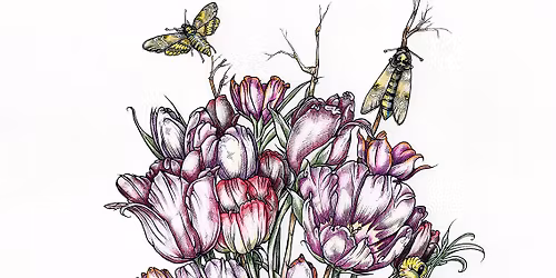 Spring Flower Drawing Workshop