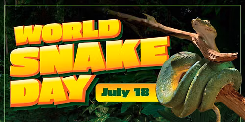 World Snake Day