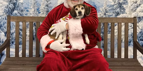 Santa Paws Photo sessions