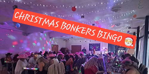 Christmas Bonkers Bingo \ud83c\udf85
