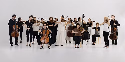 BRYGGEN | Tales from the woods