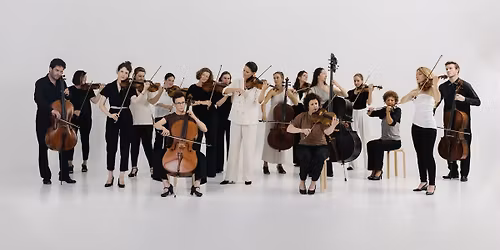 BRYGGEN | Tales from the woods