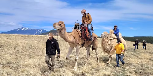 Hiking with Camels Through History: The Beale Wagon Road Experience