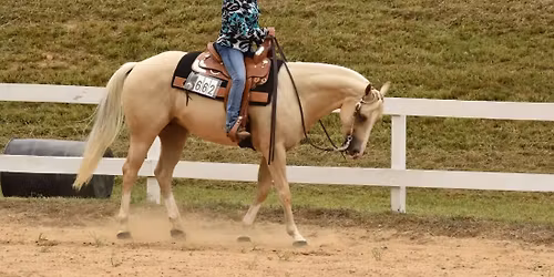 Horsemanship Clinic with Nicole Klassen