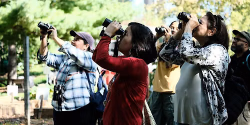 City of Forest Day: Forest Walk and Birding
