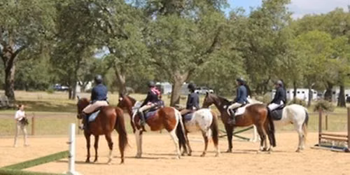 UDJC Foundation Show hosted by Redbird Sporthorses