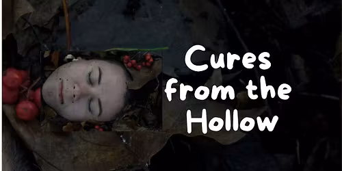Book Launch: Cures from the Hollow