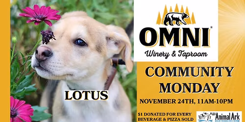 OMNI Brewery & Taproom's Community Monday Benefiting Animal Ark
